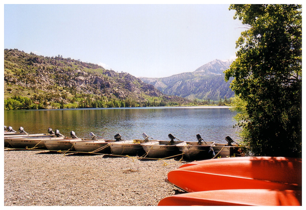 06 - Californie (1).jpg